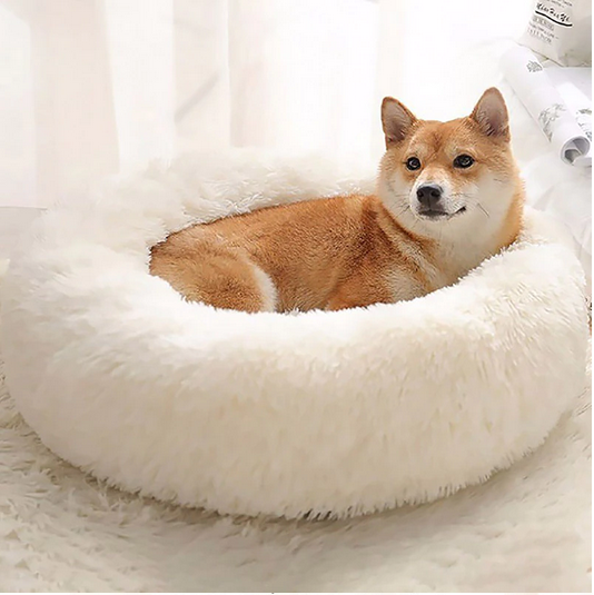 Plush Dog Bed