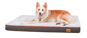 Large Orthopedic Dog Bed